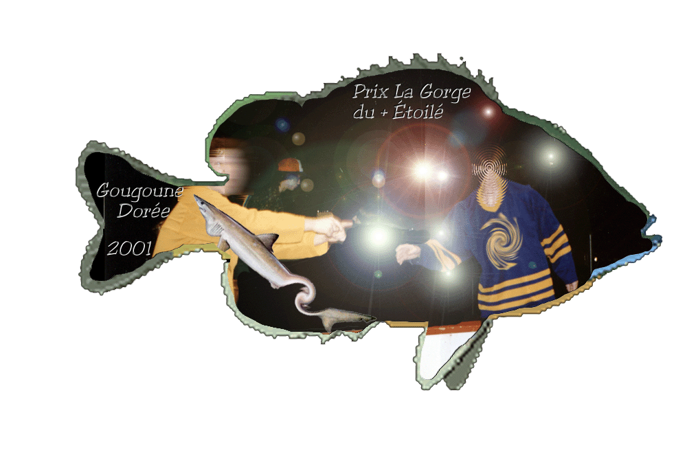 Photo originale: CUI 97 (Moncton-Montral)