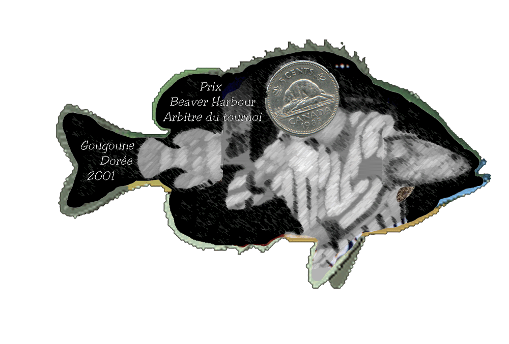 Photo originale: Michel M. Albert 98